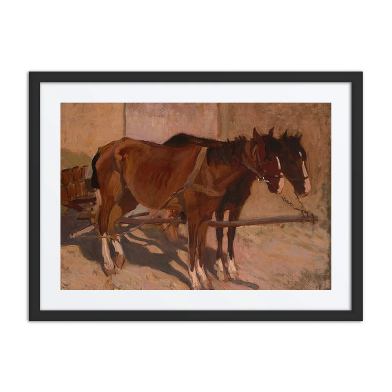 Harnessed Horses