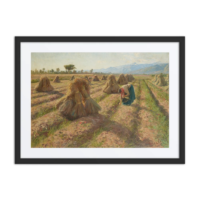 Harvest