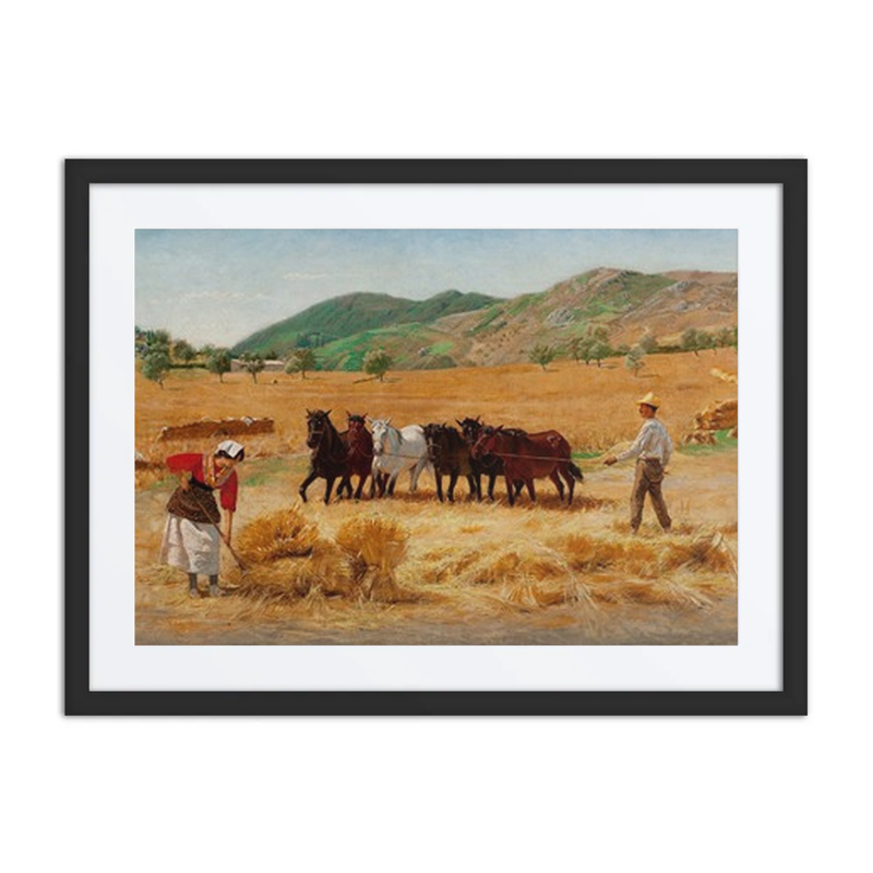 Harvest in Anticoli