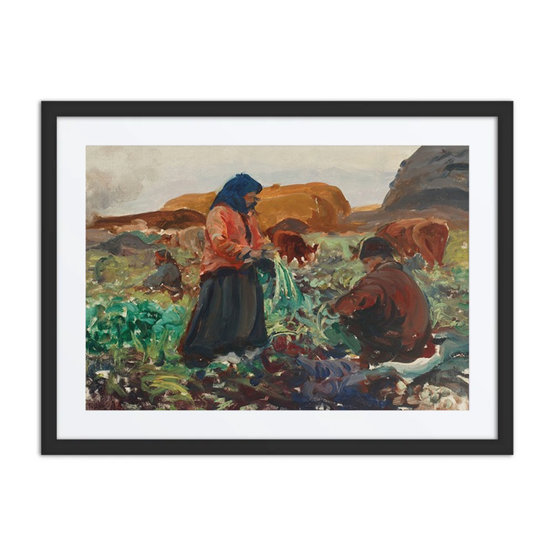 Harvesting Beetroots II