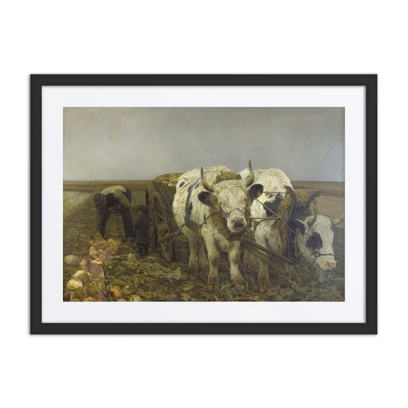 Harvesting Root Vegetables