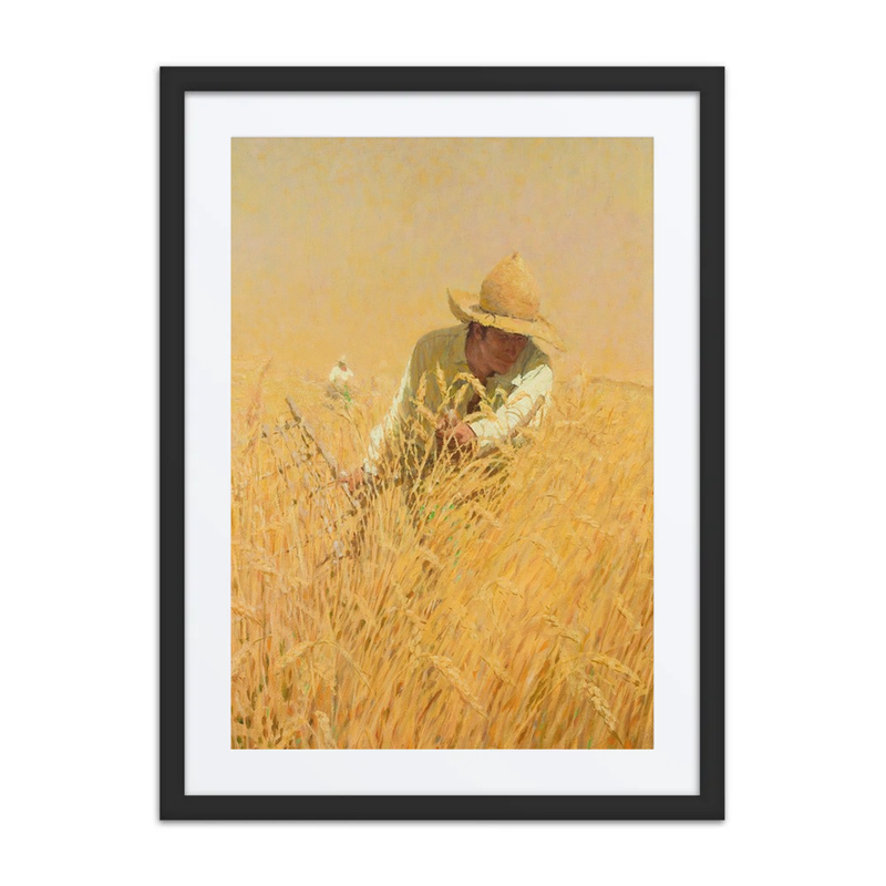 Harvesting the Wheat