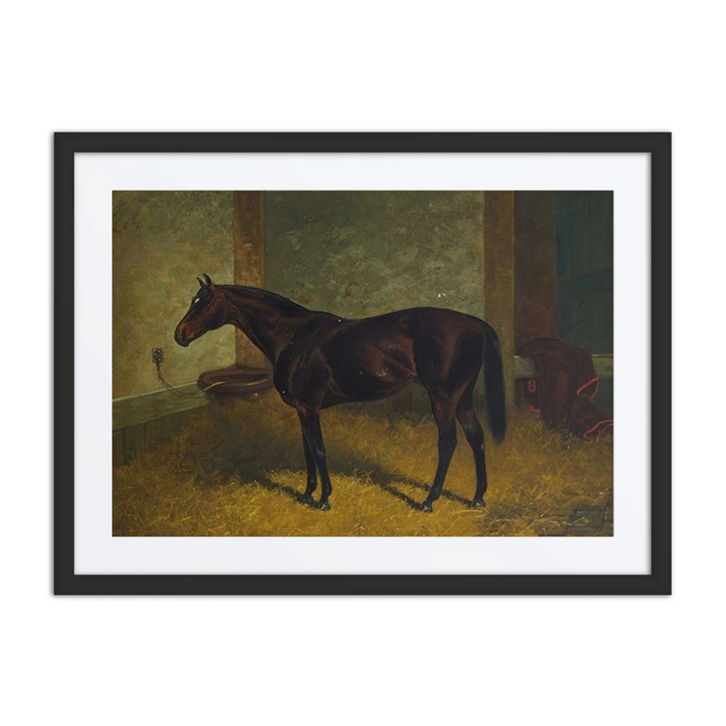 Hastings in a Stable