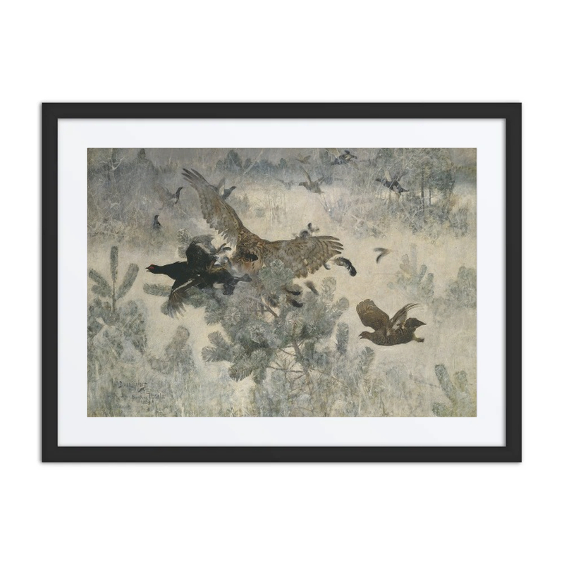 Hawk and Black-Game