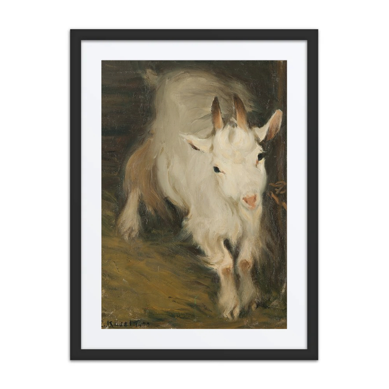 He-Goat