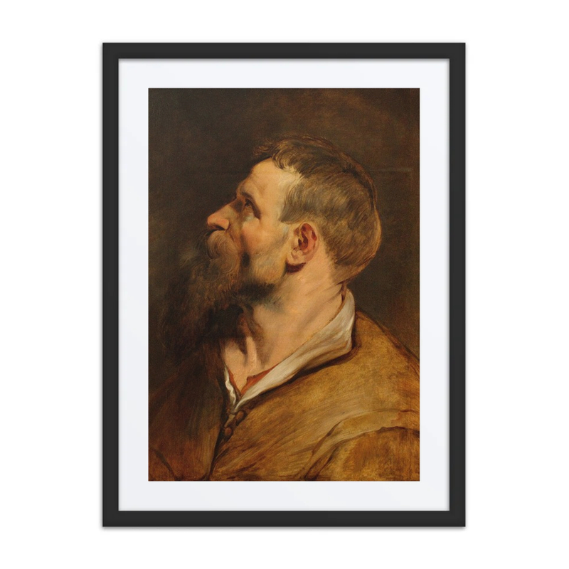 Head of a Bearded Man