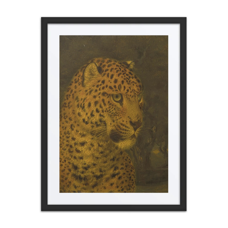 Head of a Leopard