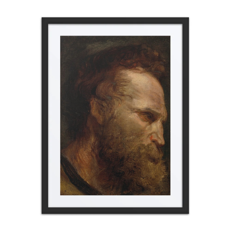 Head Study of a Bearded Man