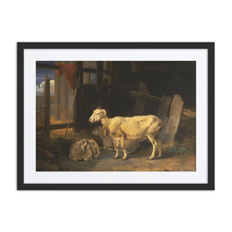 Heath Ewe and Lambs