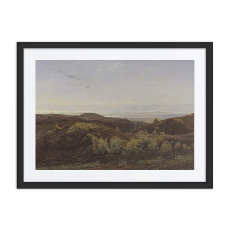 Heather Hills Near Rye, Jutland