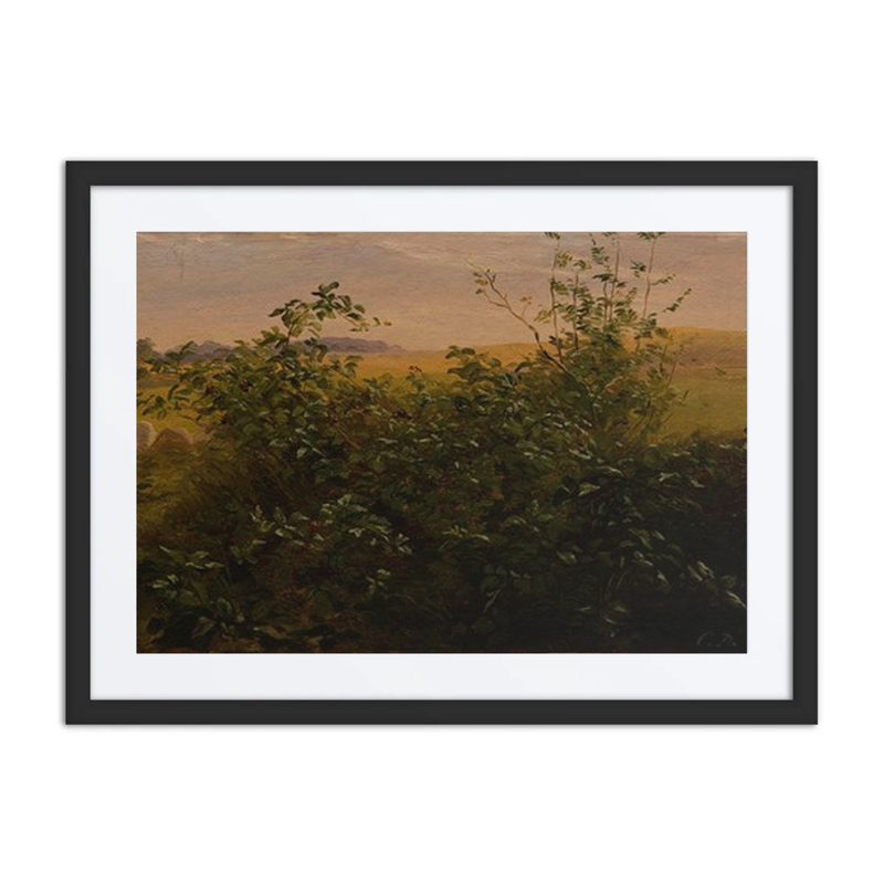 Hedge with Blackberries