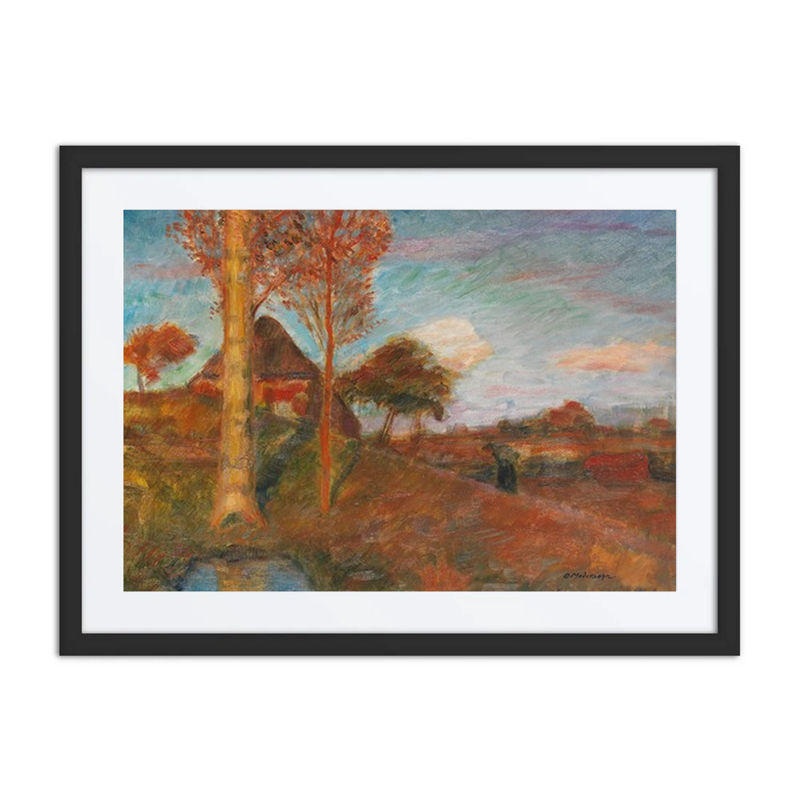 Herbstliche Abendsonne Im Moor