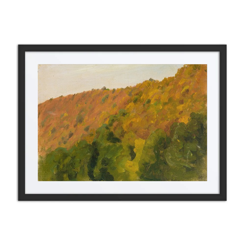 Herbstwald Im Bärental