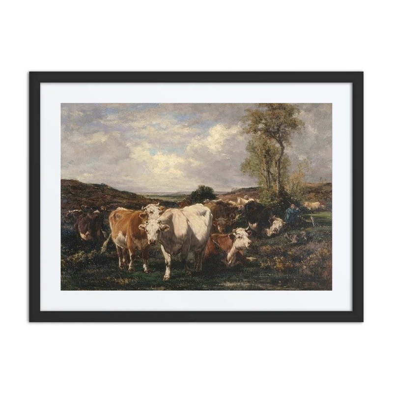 Herd