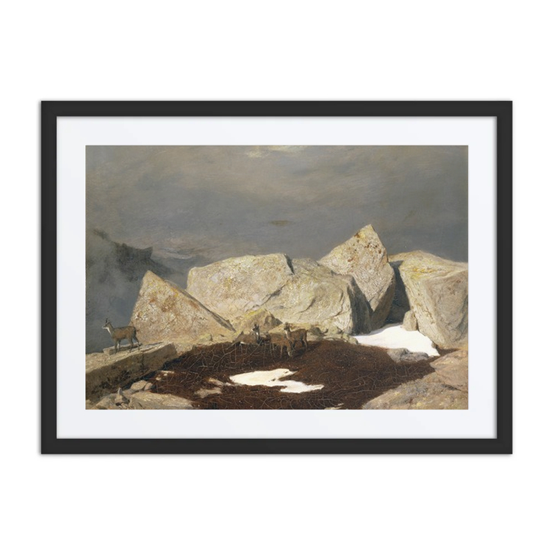 High Mountain Landscape with Chamois