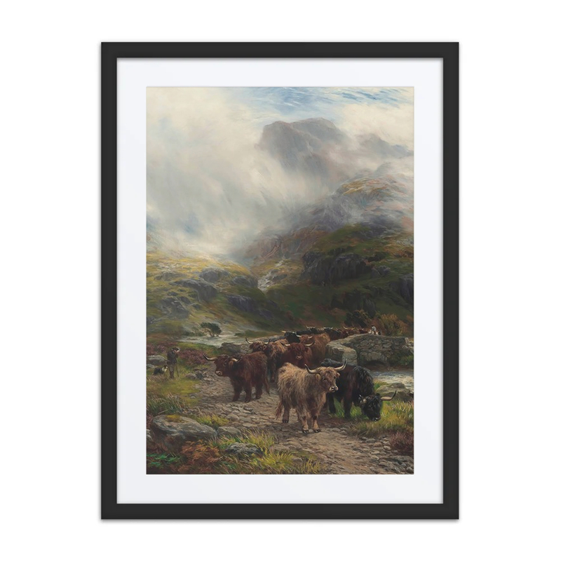 Highlanders Going South