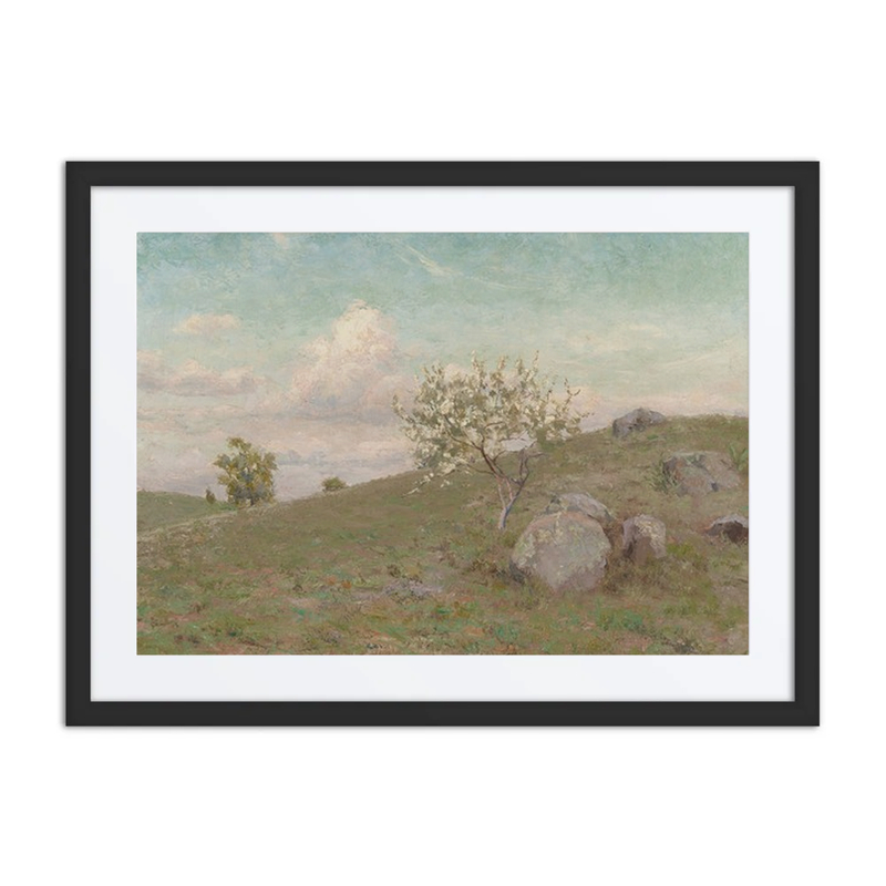 Hillside Landscape