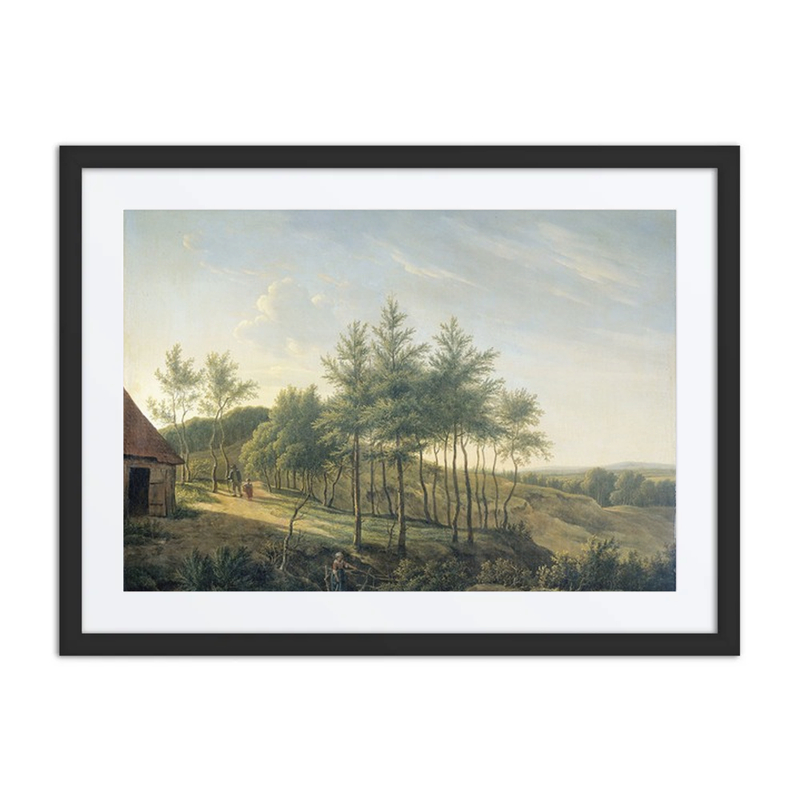 Hilly Landscape