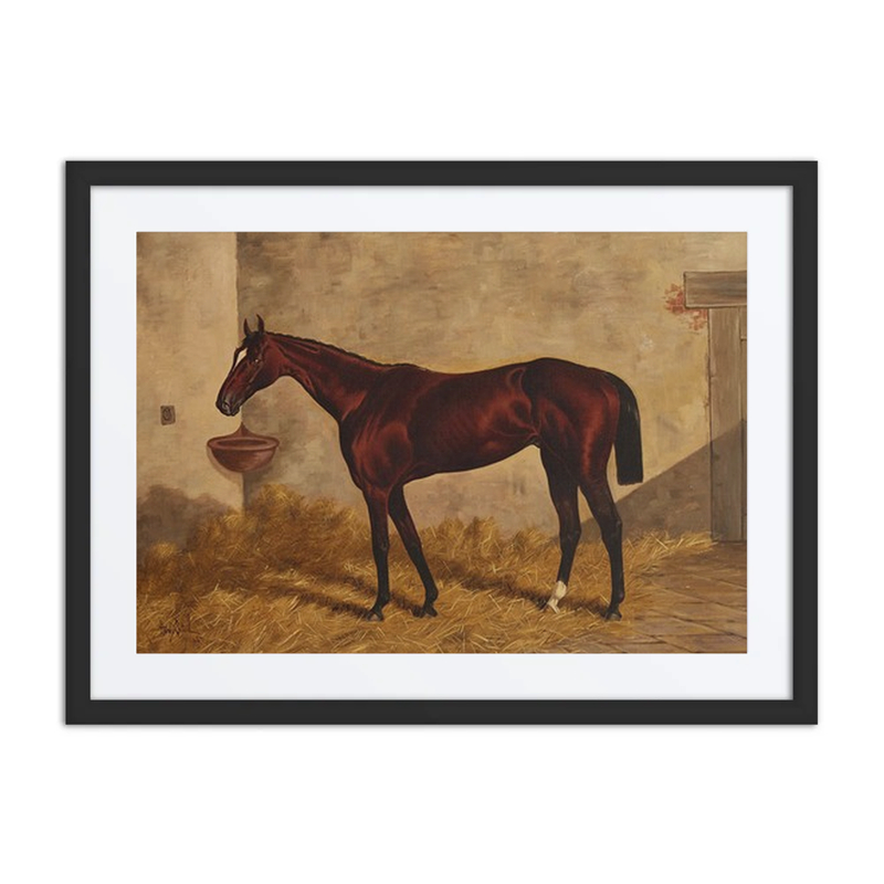 Hindoo in a Stable
