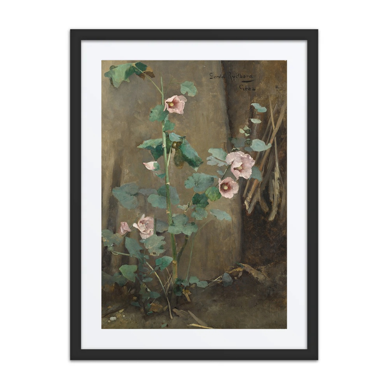 Hollyhocks by a Wall