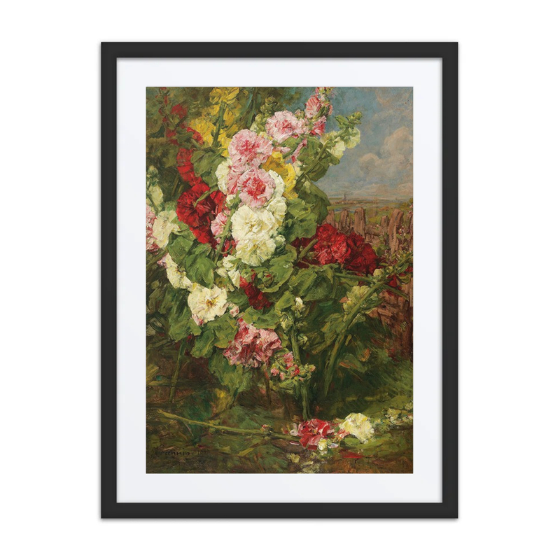 Hollyhocks