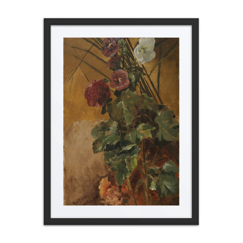 Hollyhocks