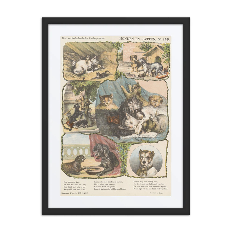 Honden en Katten