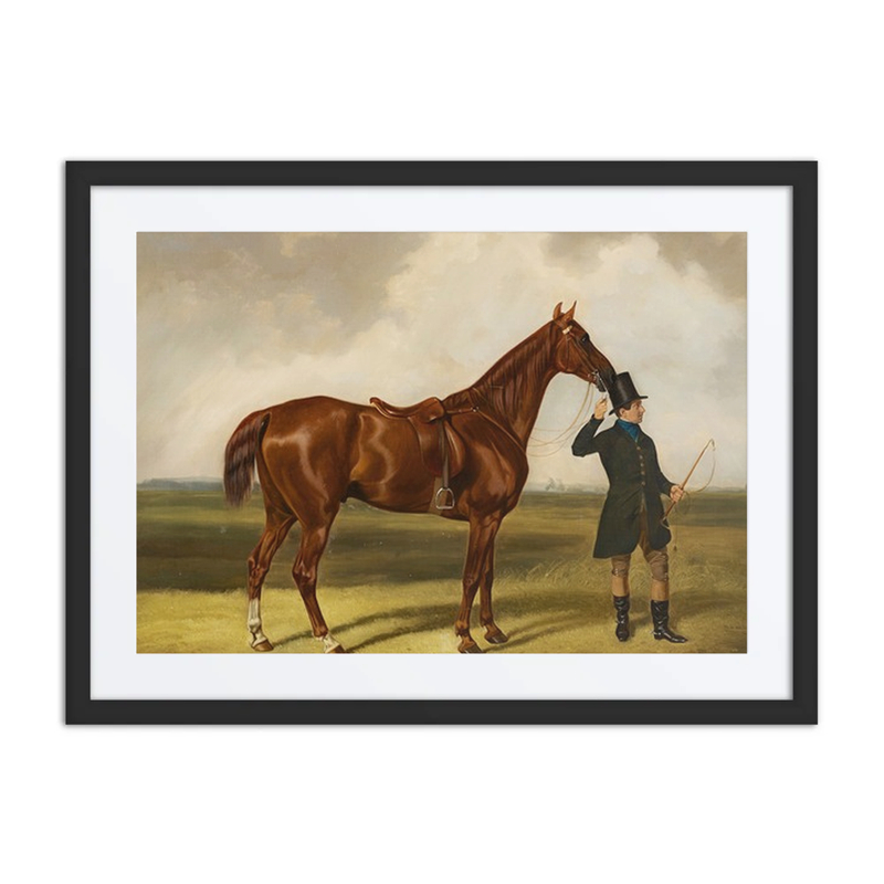 Horse and Rider