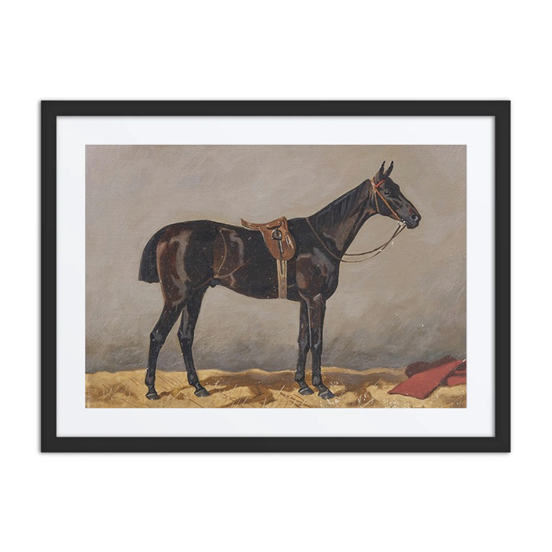 Horse in a Stable