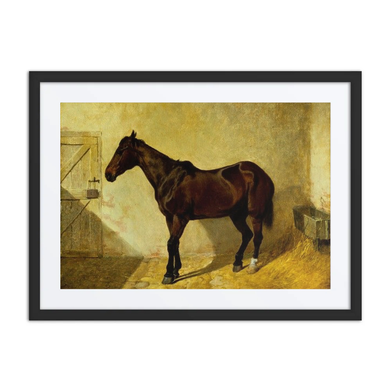 Horse in a Stable