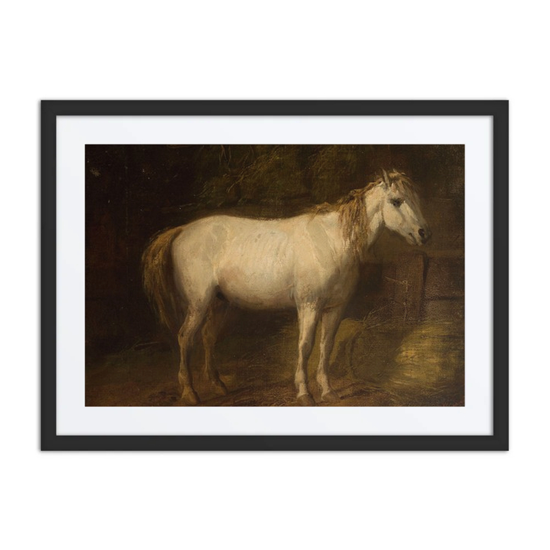 Horse in the Stable