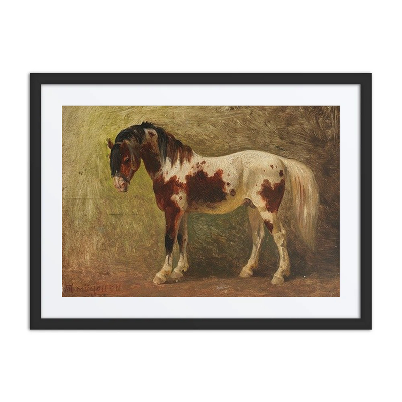 Horse Portrait