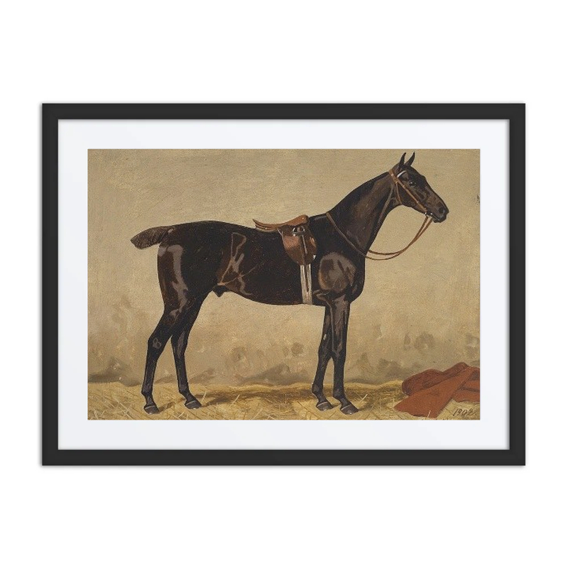 Horse with Saddle