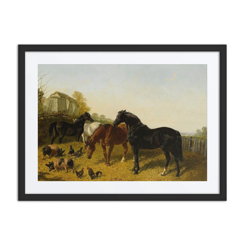 Horses and Chickens