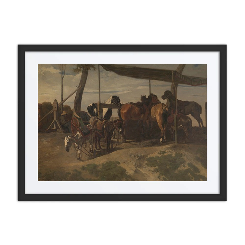 Horses and Donkeys for Hire