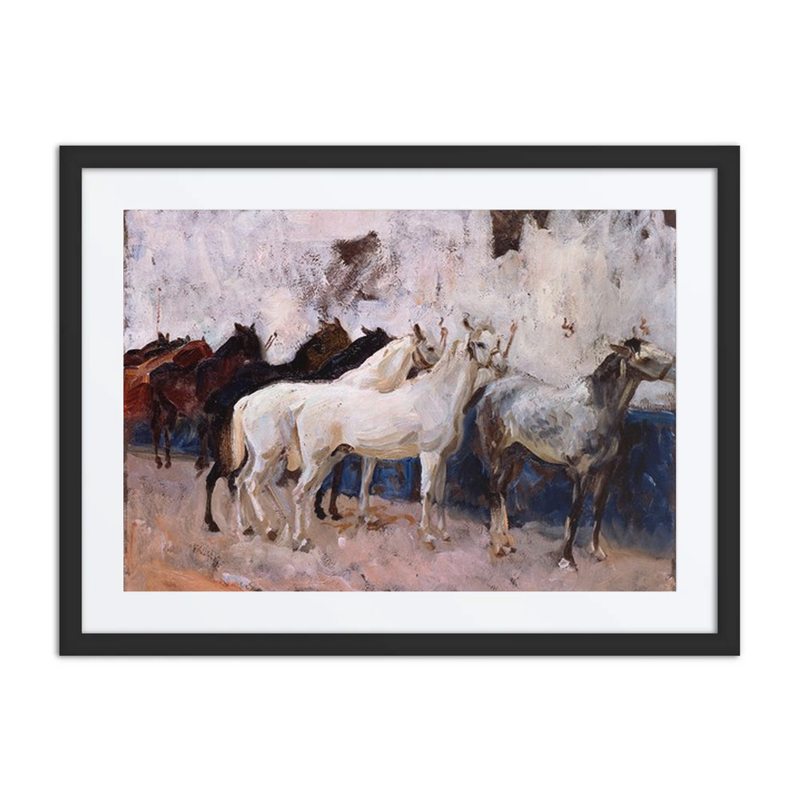 Horses at Palma