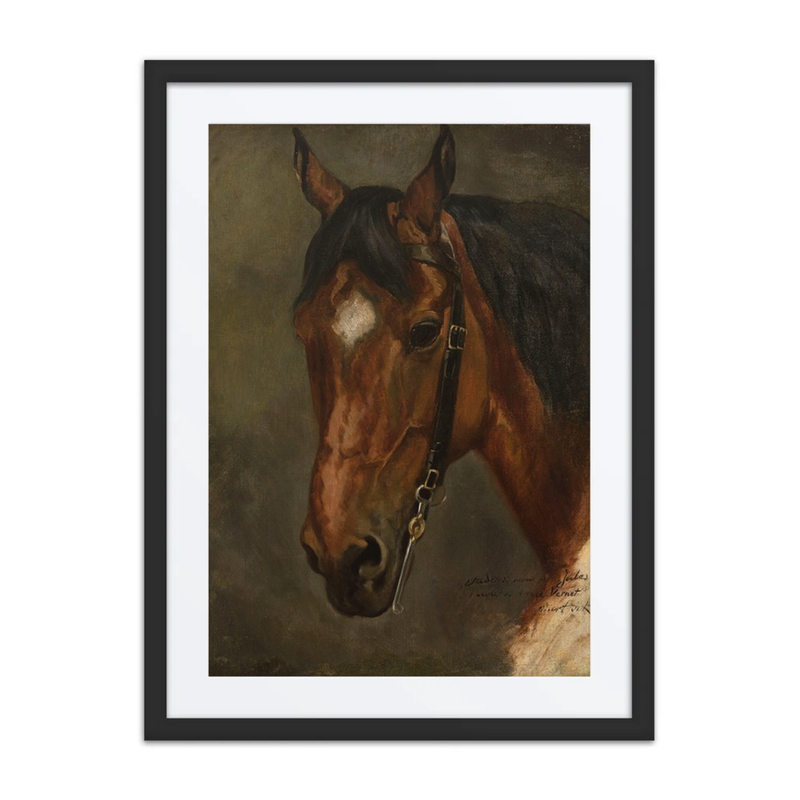 Horse’s Head