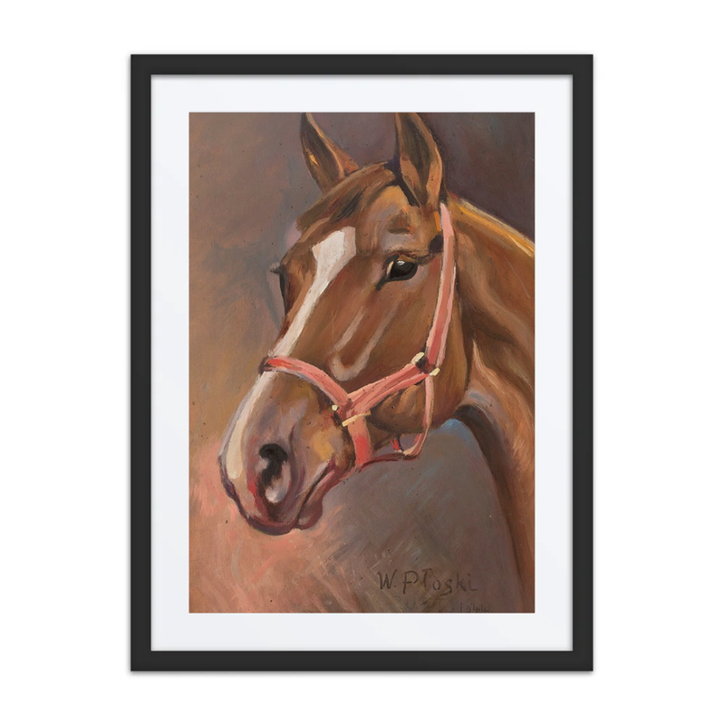 Horse’s Head