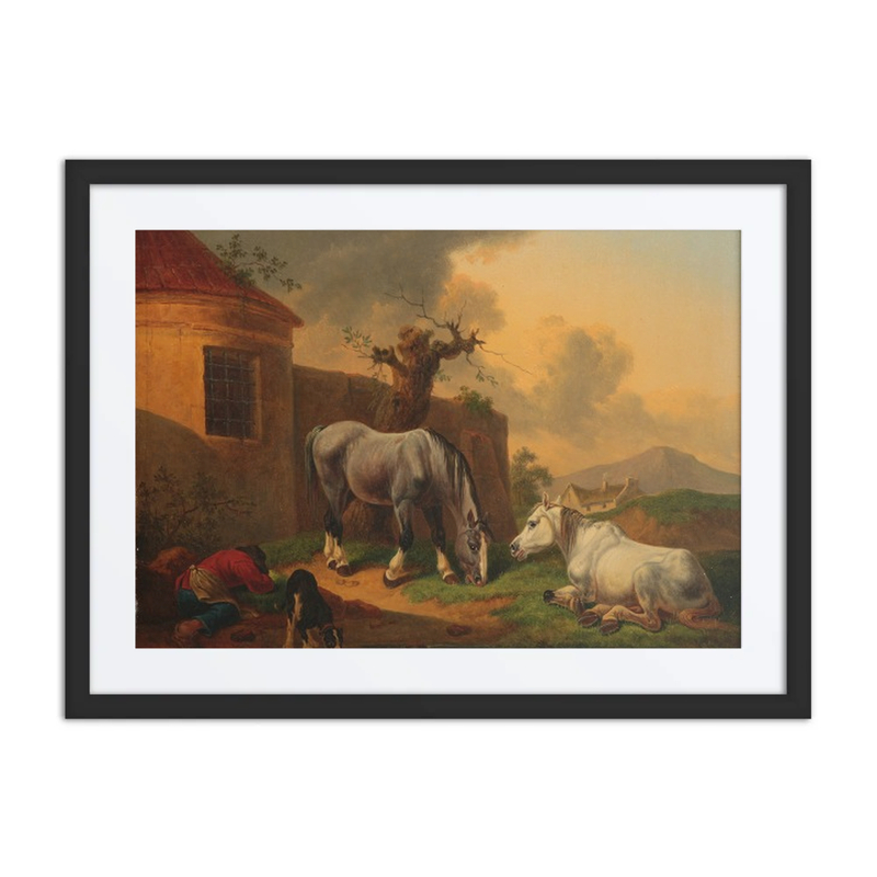 Horses