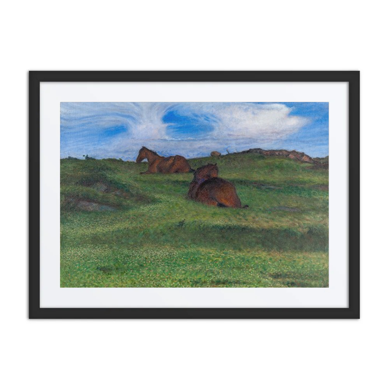 Horses Resting