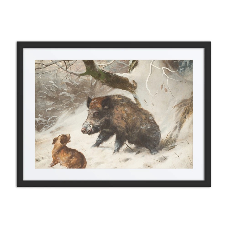 Hound Tracking Down a Wild Boar