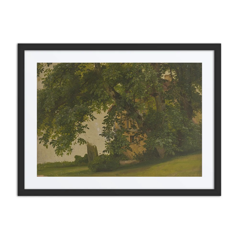 House Behind Trees