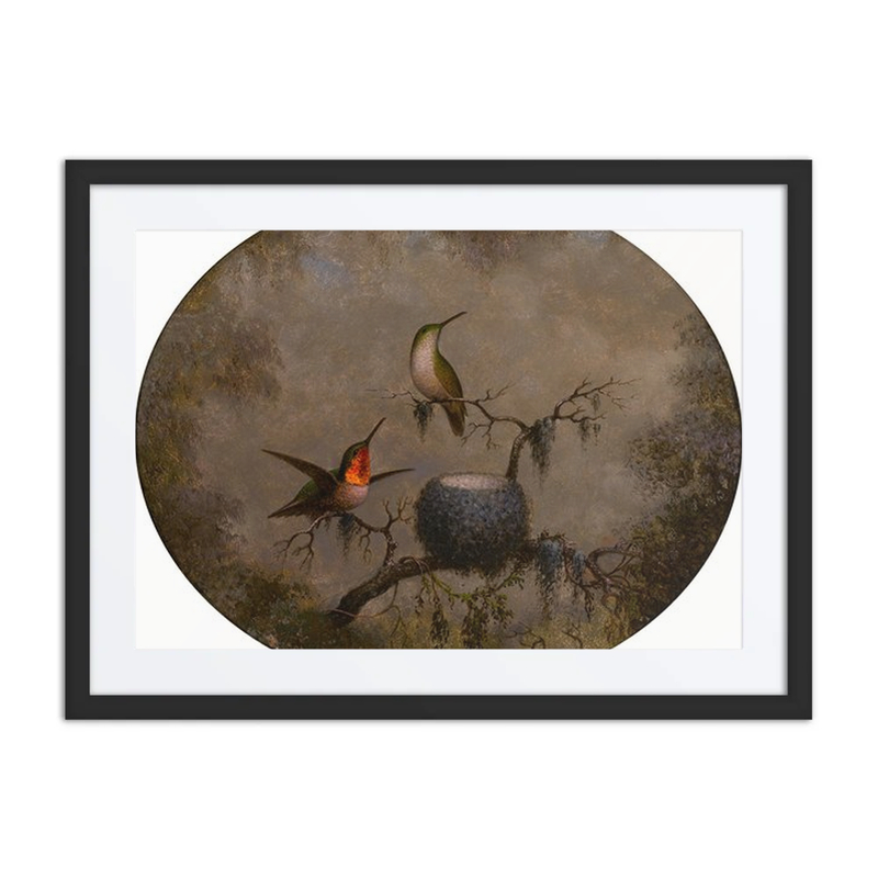 Hummingbirds and Their Nest