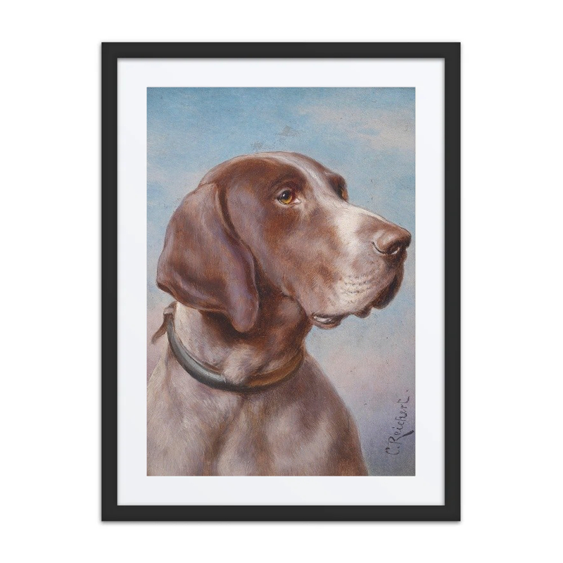 Hundeportrait