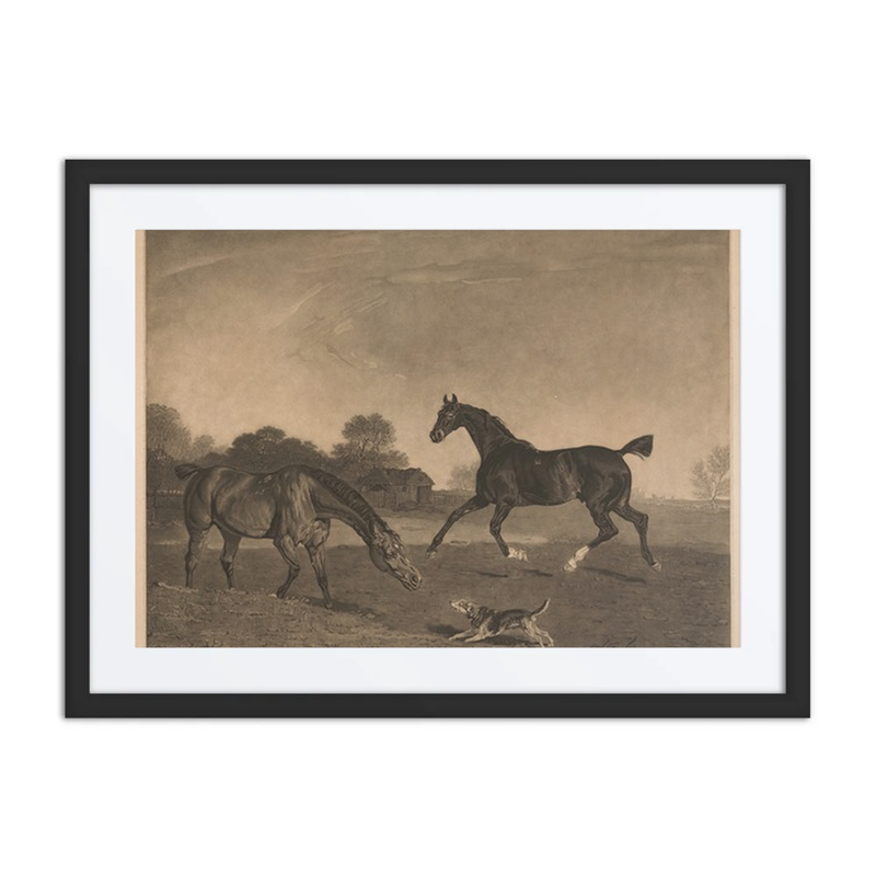 Hunters at Grass; the Property of John Micklethwait Esq.