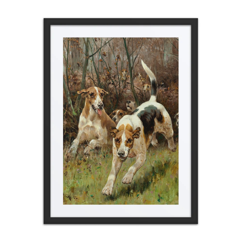 Hunting Pack Coming On