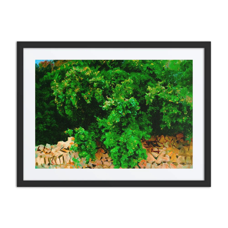 Ilex Wood, Majorca