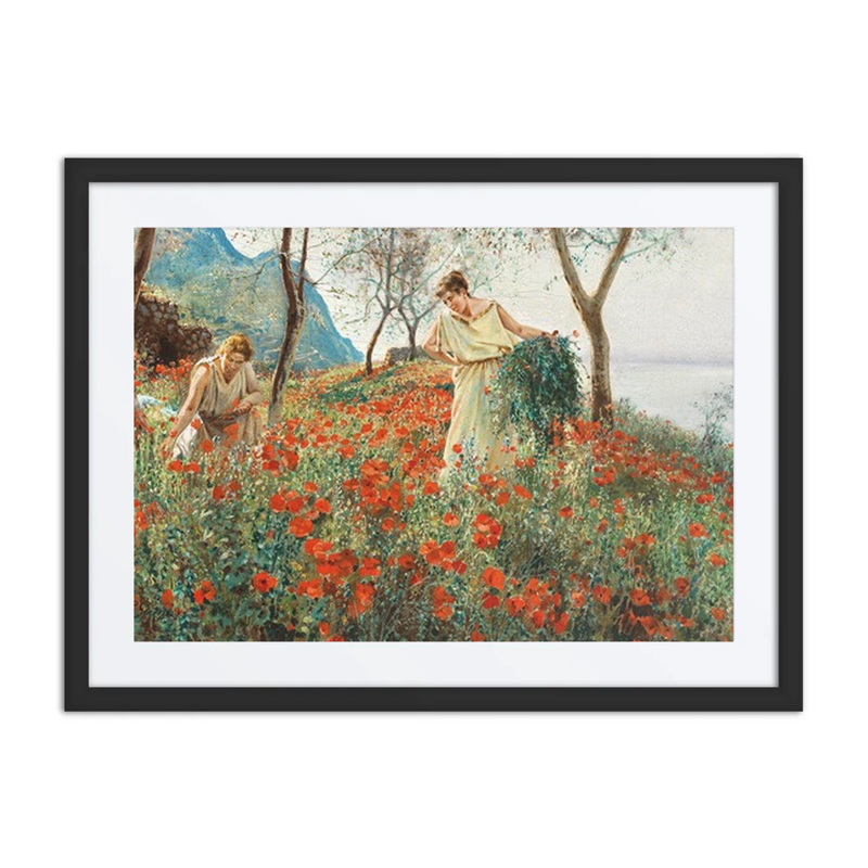 In a Poppy Field