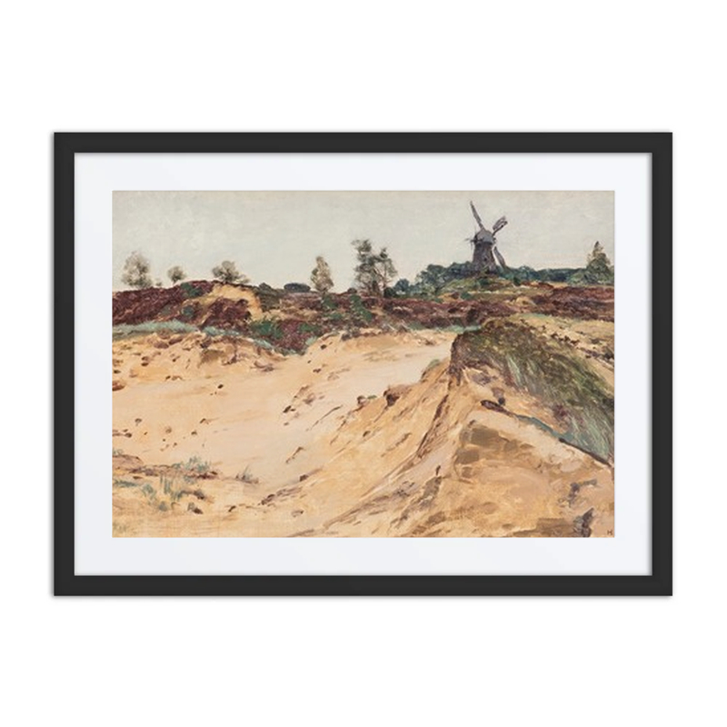 In the Dunes