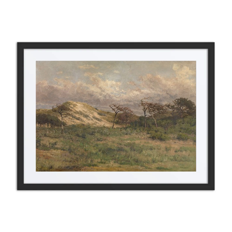 In the Dunes